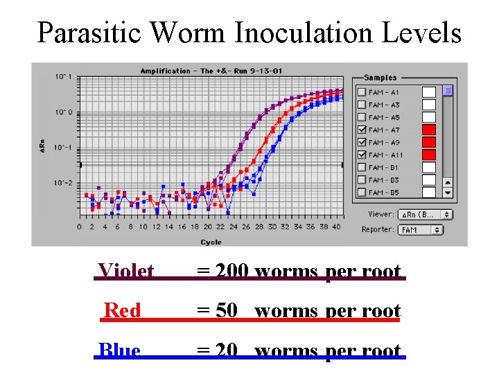 Parasitic Worm Inoculation Levels Violet = 200 worms per root Red = 50 worms