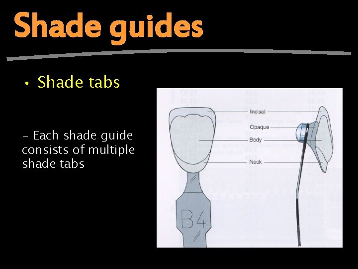 Shade guides • Shade tabs - Each shade guide consists of multiple shade tabs