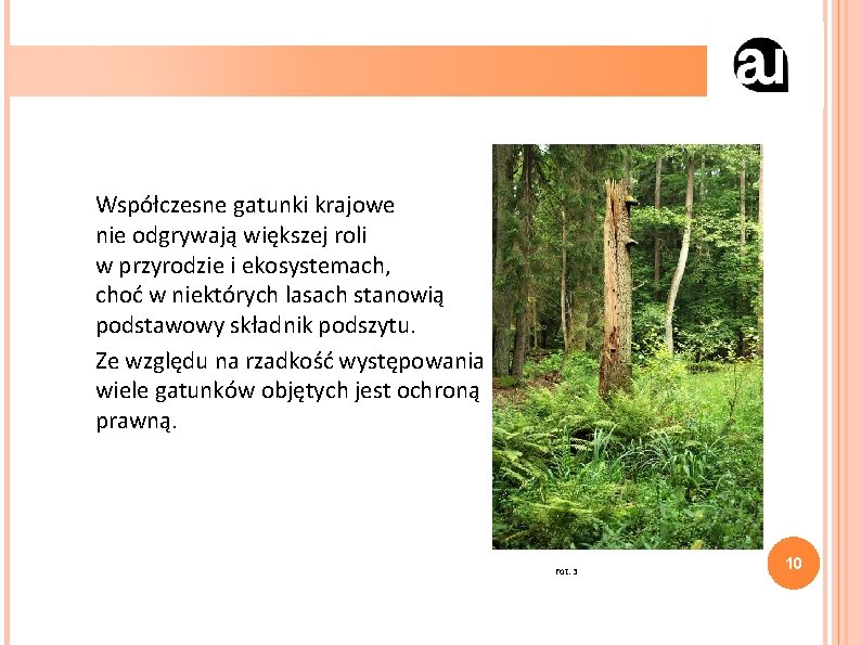 Współczesne gatunki krajowe nie odgrywają większej roli w przyrodzie i ekosystemach, choć w niektórych