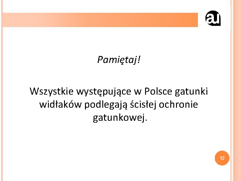 Pamiętaj! Wszystkie występujące w Polsce gatunki widłaków podlegają ścisłej ochronie gatunkowej. 12 