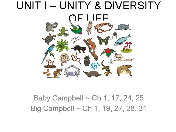 UNIT I – UNITY & DIVERSITY OF LIFE Baby Campbell ~ Ch 1, 17,