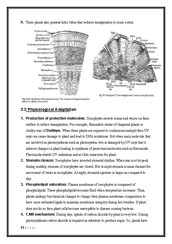 9. These plants also possess latex tubes that reduces transpiration to some extent. 3.