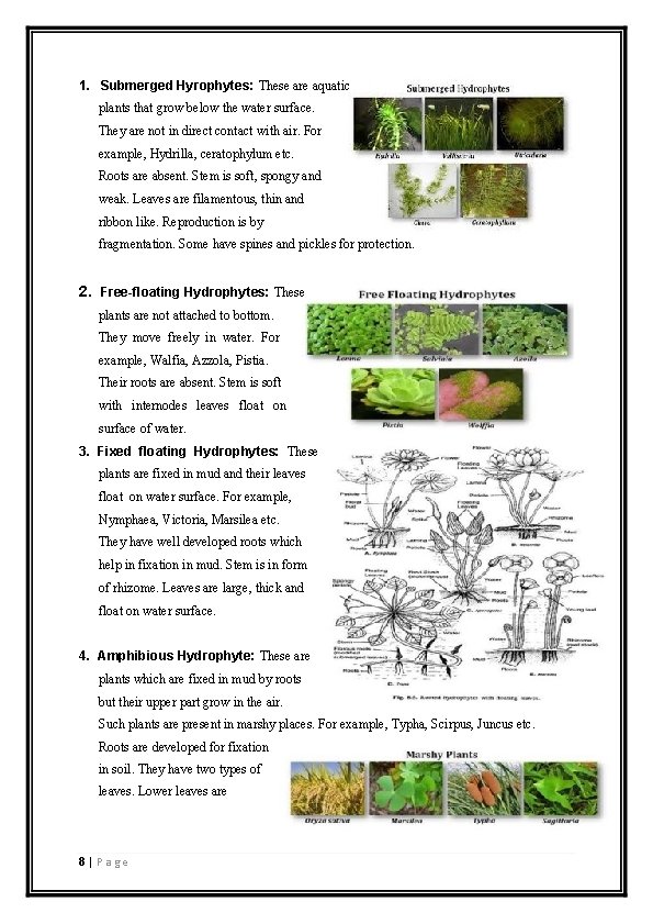 1. Submerged Hyrophytes: These are aquatic plants that grow below the water surface. They