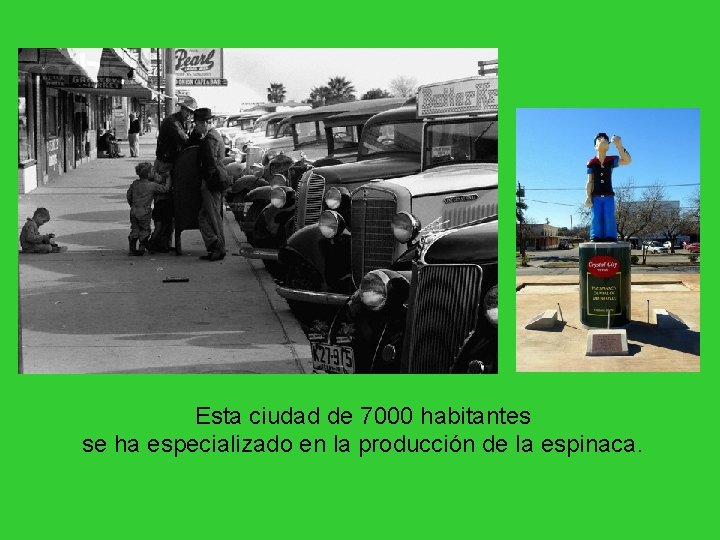 Esta ciudad de 7000 habitantes se ha especializado en la producción de la espinaca. Esta ciudad de 7000 habitantes se ha especializado en la producción de la espinaca.
