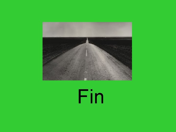 Fin Fin