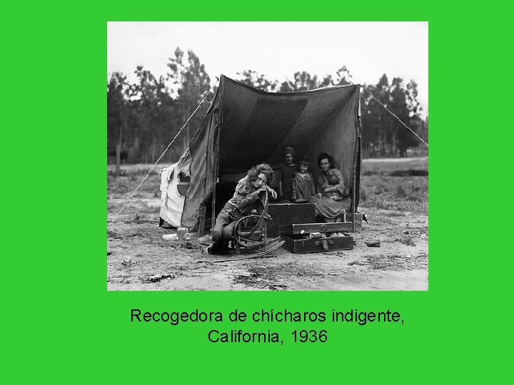 Recogedora de chícharos indigente, California, 1936 Recogedora de chícharos indigente, California, 1936