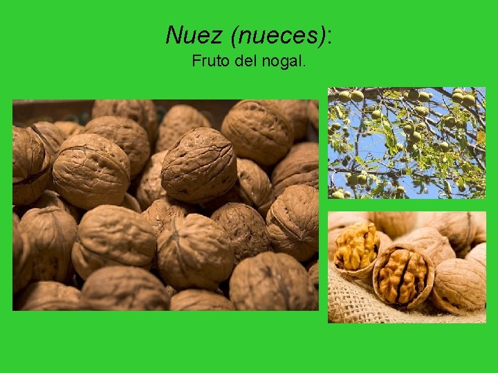 Nuez (nueces): Fruto del nogal. Nuez (nueces): Fruto del nogal.