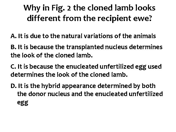 Why in Fig. 2 the cloned lamb looks different from the recipient ewe? A.