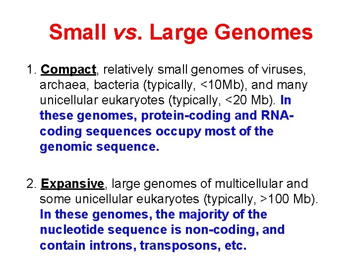 Small vs. Large Genomes 1. Compact, relatively small genomes of viruses, archaea, bacteria (typically,