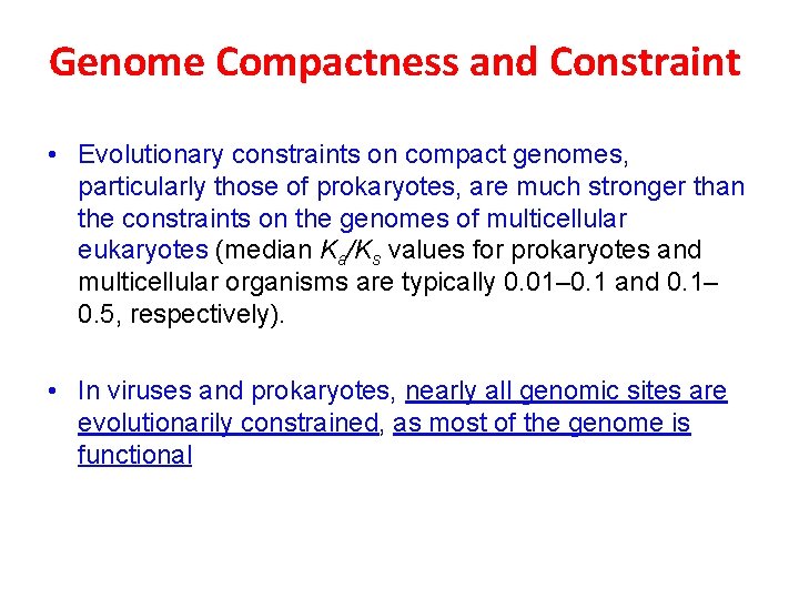 Genome Compactness and Constraint • Evolutionary constraints on compact genomes, particularly those of prokaryotes,