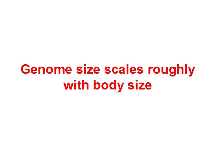 Genome size scales roughly with body size 