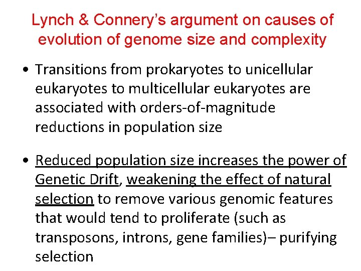 Lynch & Connery’s argument on causes of evolution of genome size and complexity •