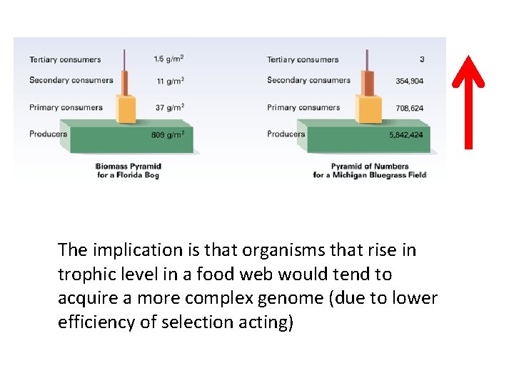 The implication is that organisms that rise in trophic level in a food web