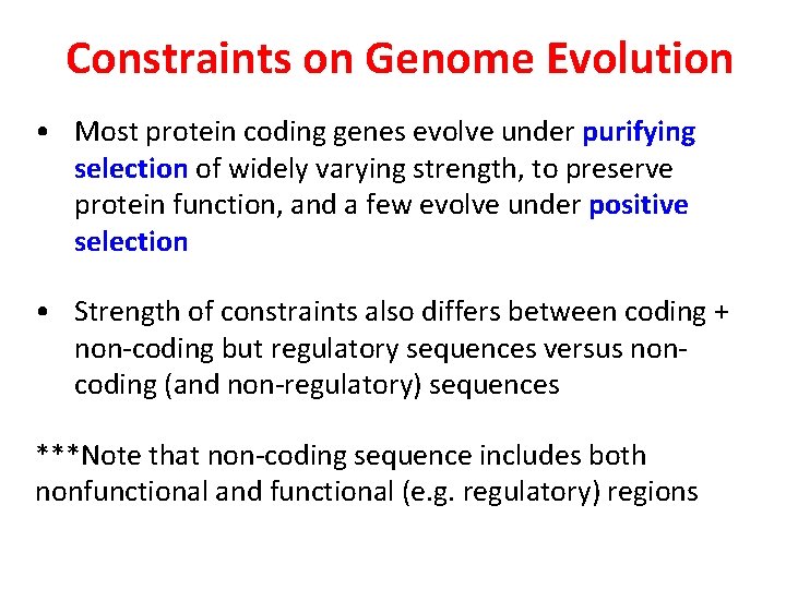 Constraints on Genome Evolution • Most protein coding genes evolve under purifying selection of