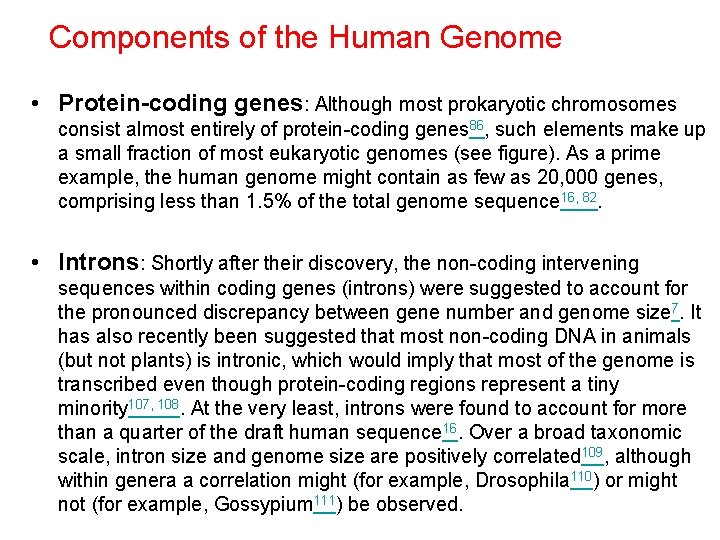 Components of the Human Genome • Protein-coding genes: Although most prokaryotic chromosomes consist almost