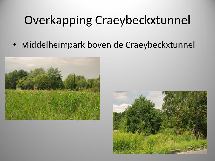 Overkapping Craeybeckxtunnel • Middelheimpark boven de Craeybeckxtunnel 