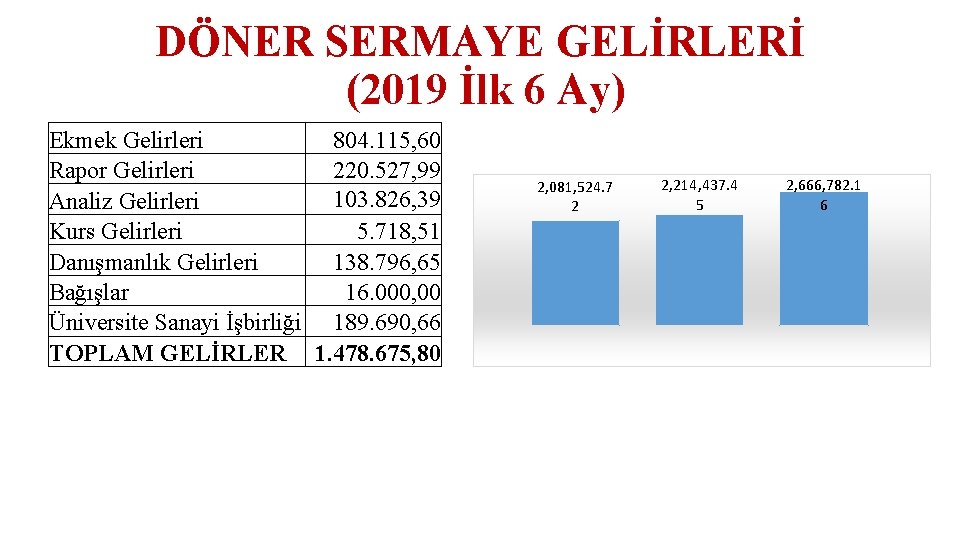 DÖNER SERMAYE GELİRLERİ (2019 İlk 6 Ay) Ekmek Gelirleri 804. 115, 60 Rapor Gelirleri