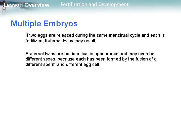 Lesson Overview Fertilization and Development Multiple Embryos If two eggs are released during the