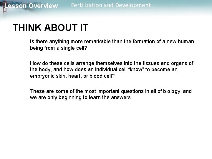 Lesson Overview Fertilization and Development THINK ABOUT IT Is there anything more remarkable than