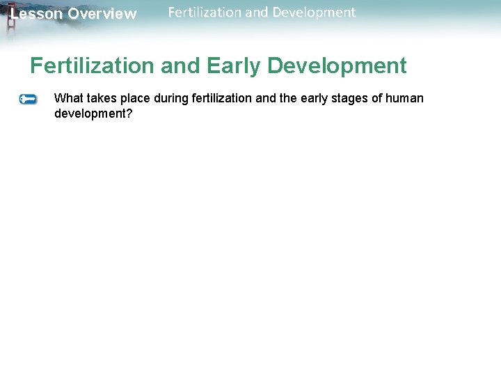 Lesson Overview Fertilization and Development Fertilization and Early Development What takes place during fertilization