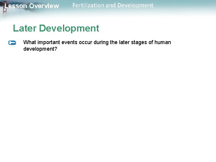 Lesson Overview Fertilization and Development Later Development What important events occur during the later