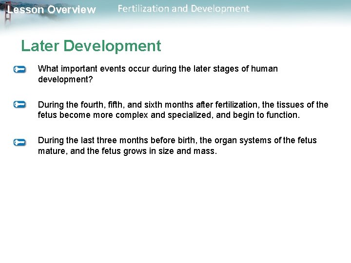 Lesson Overview Fertilization and Development Later Development What important events occur during the later