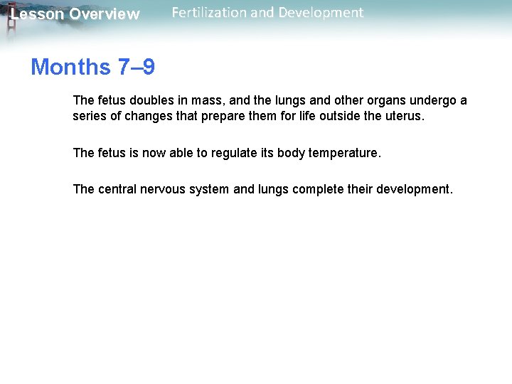 Lesson Overview Fertilization and Development Months 7– 9 The fetus doubles in mass, and