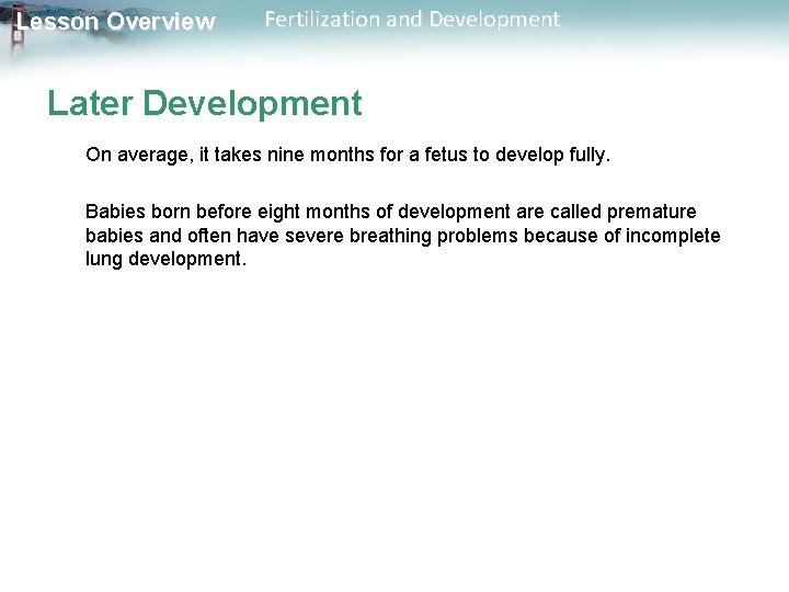 Lesson Overview Fertilization and Development Later Development On average, it takes nine months for