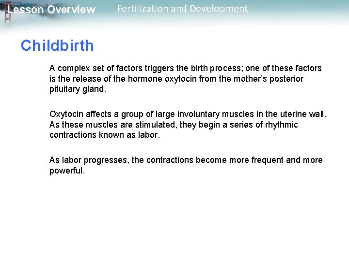 Lesson Overview Fertilization and Development Childbirth A complex set of factors triggers the birth