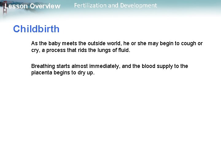 Lesson Overview Fertilization and Development Childbirth As the baby meets the outside world, he