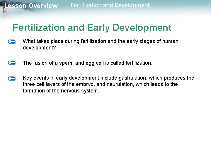 Lesson Overview Fertilization and Development Fertilization and Early Development What takes place during fertilization