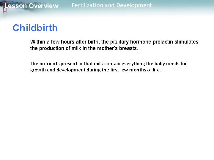 Lesson Overview Fertilization and Development Childbirth Within a few hours after birth, the pituitary