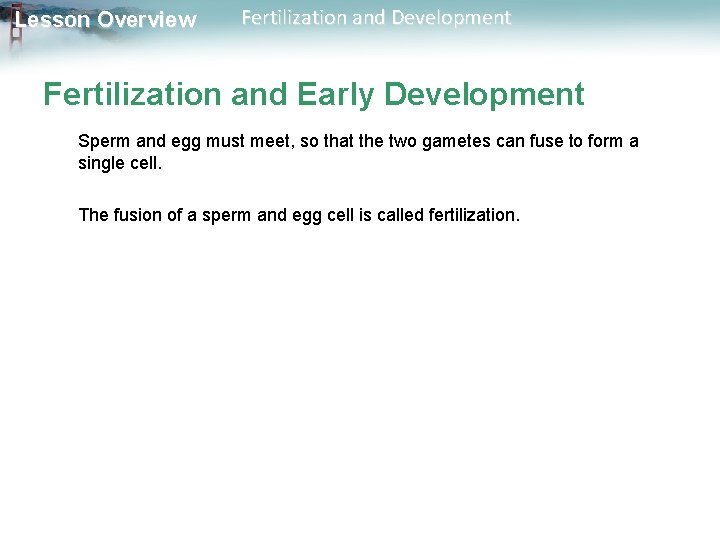 Lesson Overview Fertilization and Development Fertilization and Early Development Sperm and egg must meet,