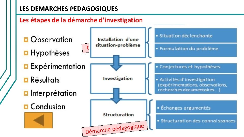 LES DEMARCHES PEDAGOGIQUES Les étapes de la démarche d’investigation ue q i f i