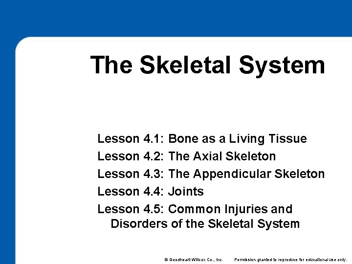 4 The Skeletal System Lesson 4. 1: Bone as a Living Tissue Lesson 4.
