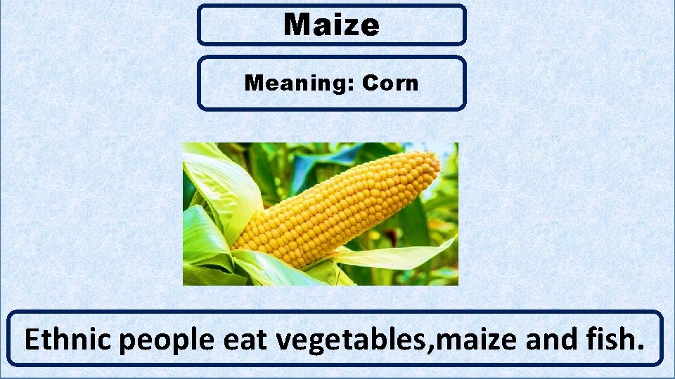 Maize Meaning: Corn C Ethnic people eat vegetables, maize and fish. 