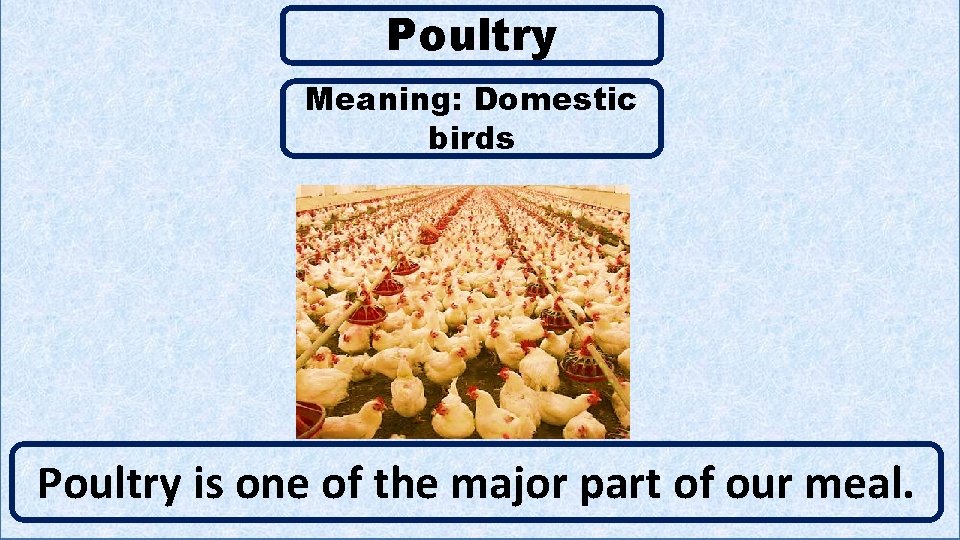 Poultry Meaning: Domestic birds C Poultry is one of the major part of our