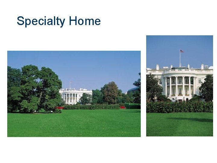 Specialty Home 