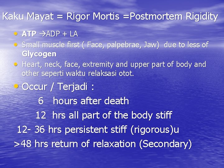 Kaku Mayat = Rigor Mortis =Postmortem Rigidity • ATP ADP + LA • Small