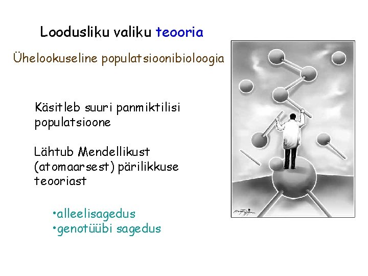 Loodusliku valiku teooria Ühelookuseline populatsioonibioloogia Käsitleb suuri panmiktilisi populatsioone Lähtub Mendellikust (atomaarsest) pärilikkuse teooriast