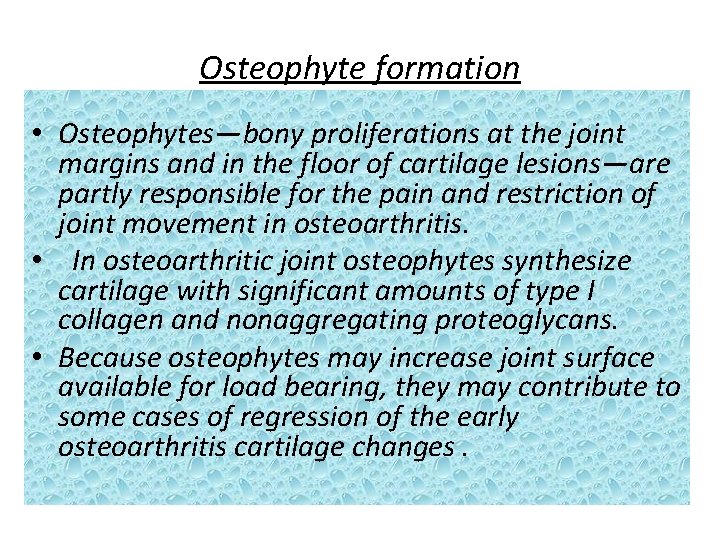 Osteophyte formation • Osteophytes—bony proliferations at the joint margins and in the floor of