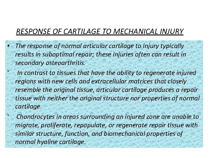 RESPONSE OF CARTILAGE TO MECHANICAL INJURY • The response of normal articular cartilage to