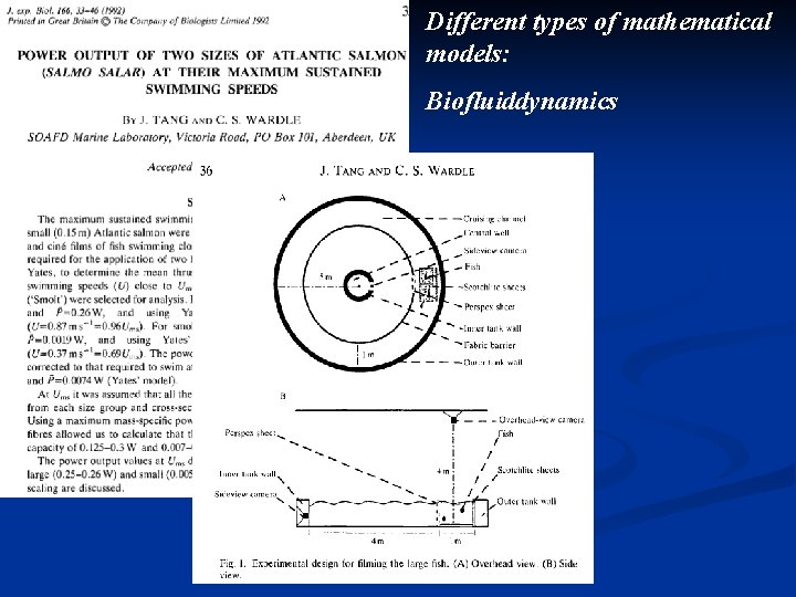 Different types of mathematical models: Biofluiddynamics 