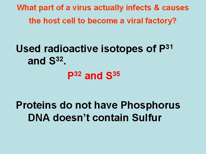 What part of a virus actually infects & causes the host cell to become What part of a virus actually infects & causes the host cell to become