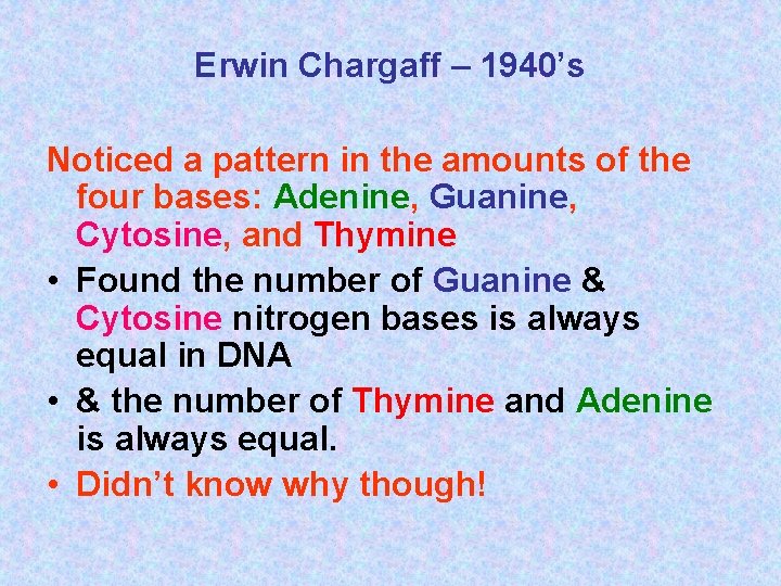 Erwin Chargaff – 1940’s Noticed a pattern in the amounts of the four bases: Erwin Chargaff – 1940’s Noticed a pattern in the amounts of the four bases: