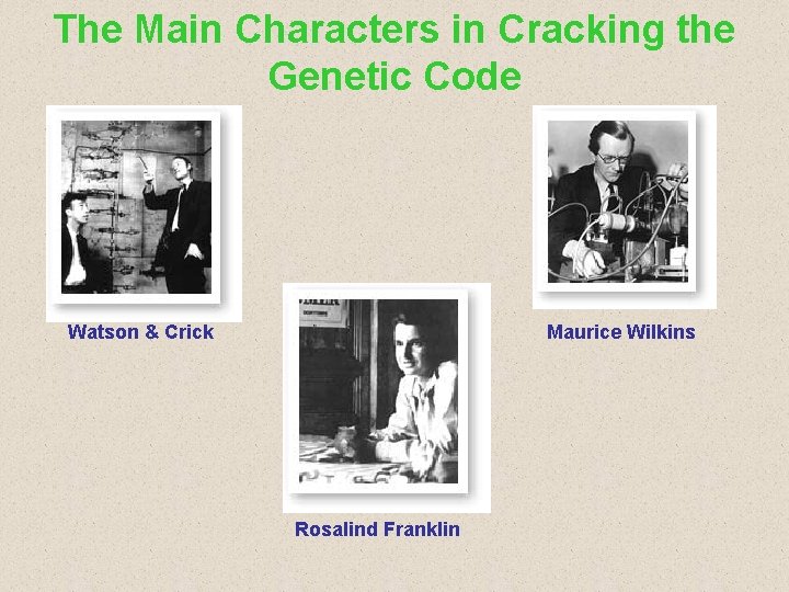 The Main Characters in Cracking the Genetic Code Watson & Crick Maurice Wilkins Rosalind The Main Characters in Cracking the Genetic Code Watson & Crick Maurice Wilkins Rosalind