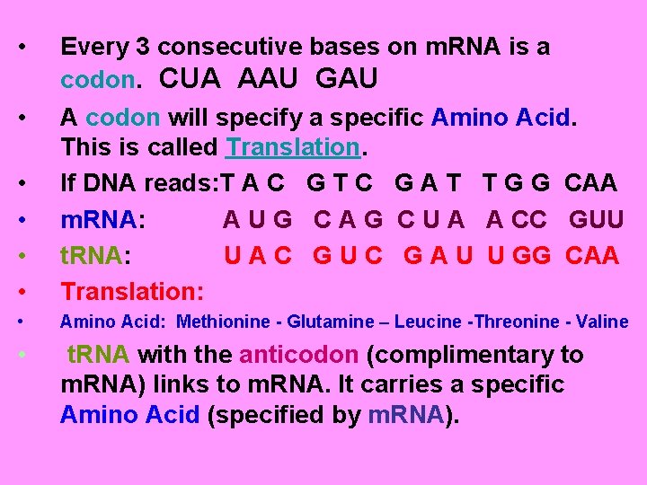 • • • Every 3 consecutive bases on m. RNA is a codon. • • • Every 3 consecutive bases on m. RNA is a codon.