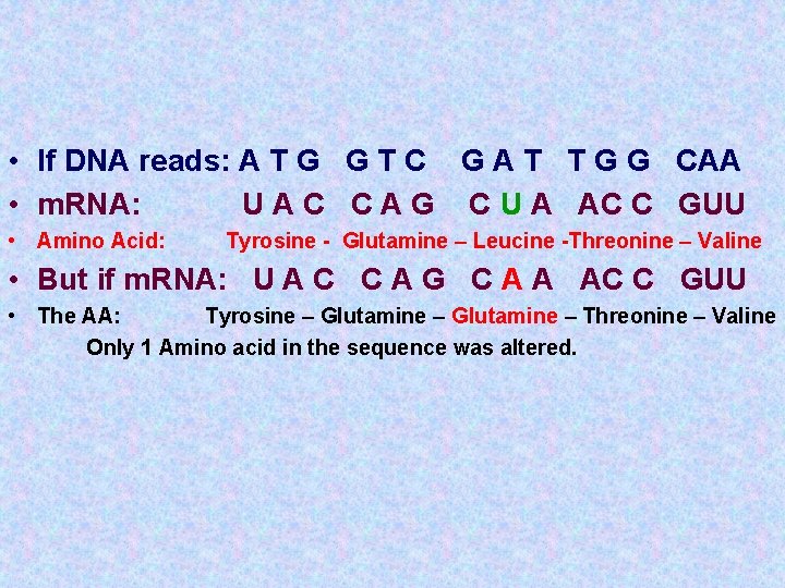 • If DNA reads: A T G G T C G A T • If DNA reads: A T G G T C G A T