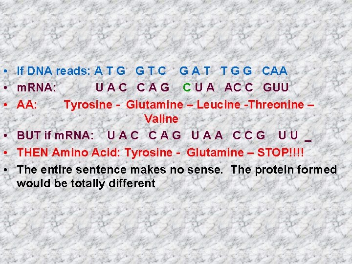 • If DNA reads: A T G G T C G A T • If DNA reads: A T G G T C G A T