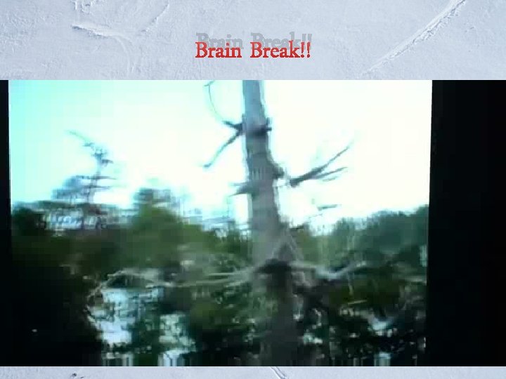 Brain Break!! 